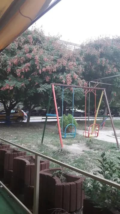 Туни