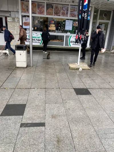 Aladin Foods