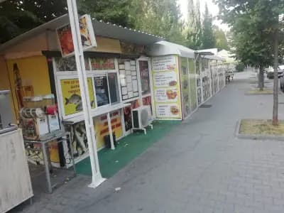 Цаца под липата