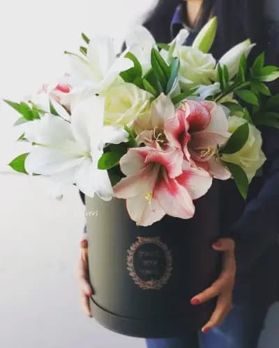Fragile flowers