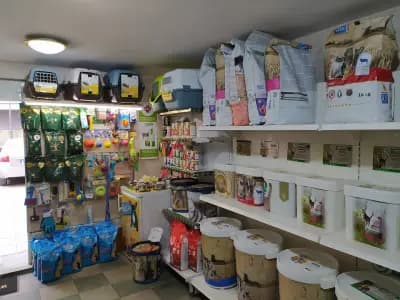 Зоомагазин Бига Зоо