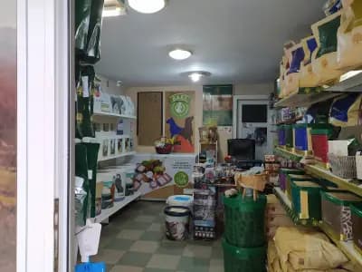 Зоомагазин Бига Зоо