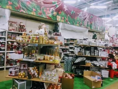 Мосю Бриколаж