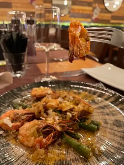 Salute Food and Fun