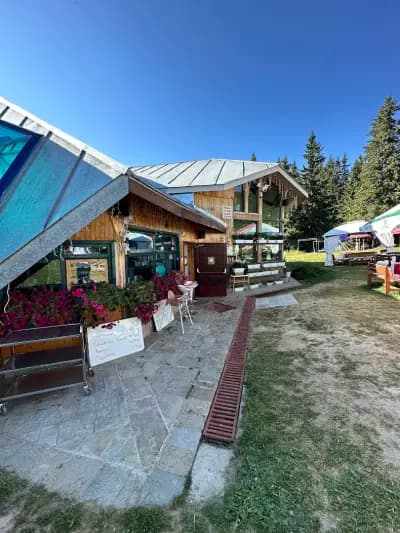 Bohemi Bar&grill