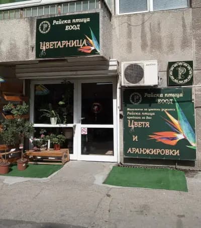 Магазин за цветя и аранжировки “Райска птица”