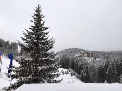 Kamena Pamporovo