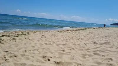 Camping Irakli Wild