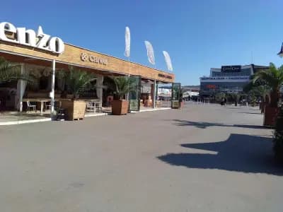 Стария Чинар Порт