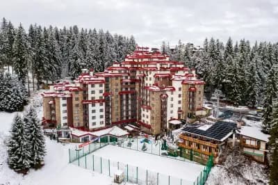 Комплекс Камелия
