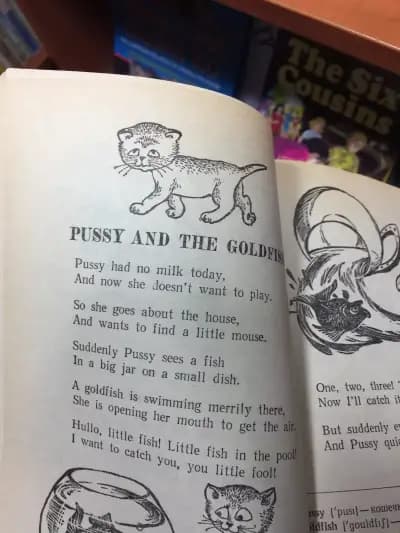 Shakespeare & Friends Bookshop, Книжарница Шекспир и приятели
