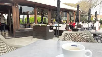 Рефлекс