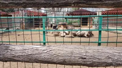 Зоологическа градина Варна