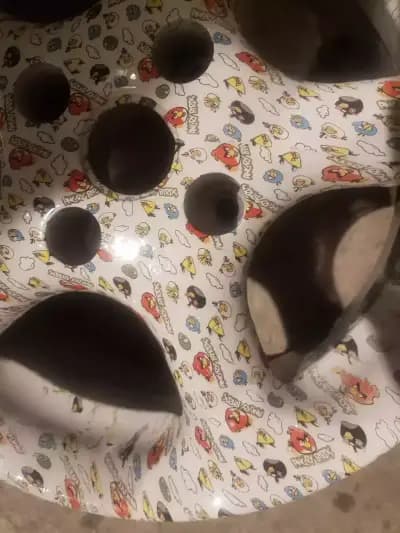 HydroGraphics GSS