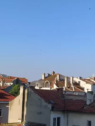 Хотел Чиплаков