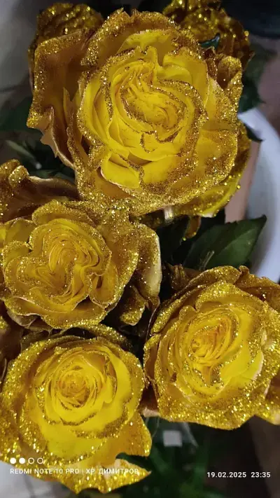 денонощен магазин за цветя "Gardenia"