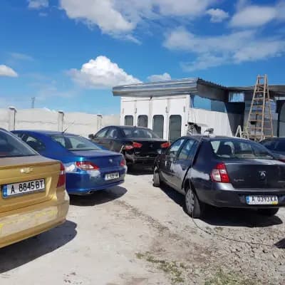 M color Service