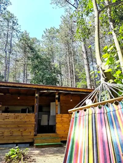 Каравани под наем Summer Dreams