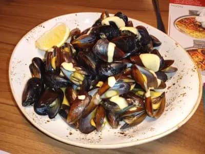 Happy Bar & Grill Lazur