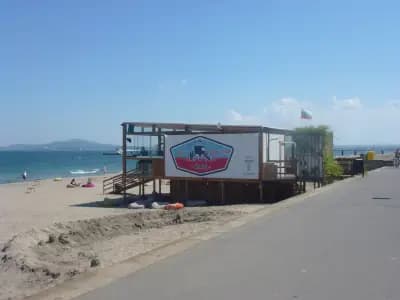 Baywatch bar