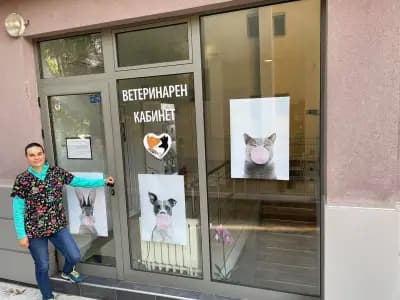 Зайвет - Ветеринарен лекар