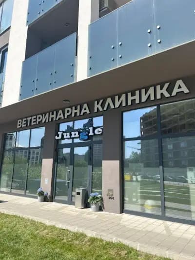 Сити Джънгъл