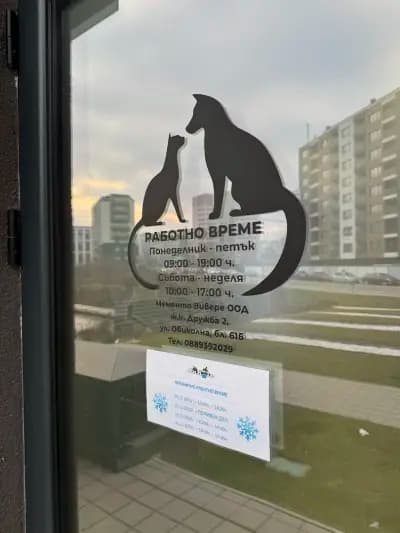 Сити Джънгъл