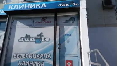 Сити Джънгъл