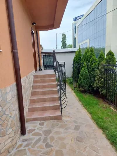 Ами Вет