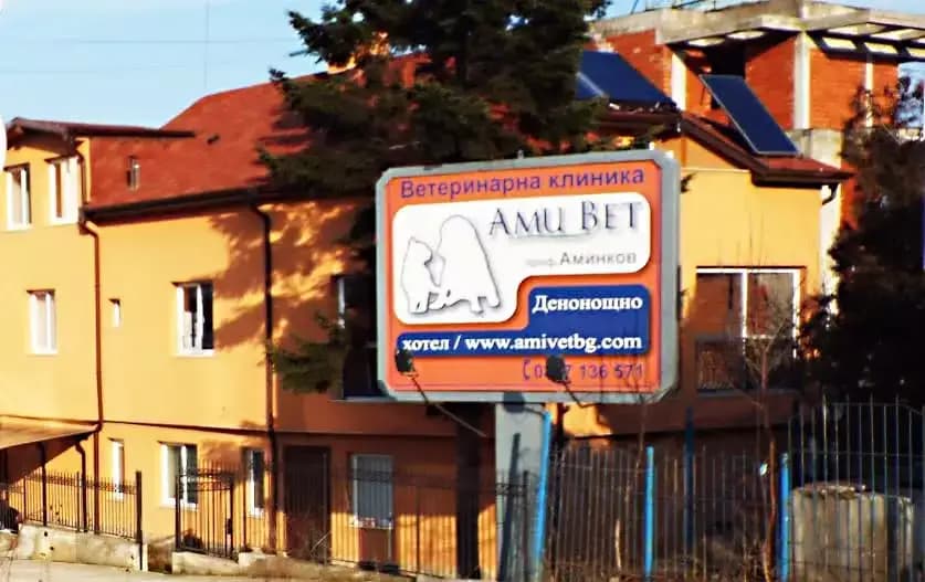Ами Вет