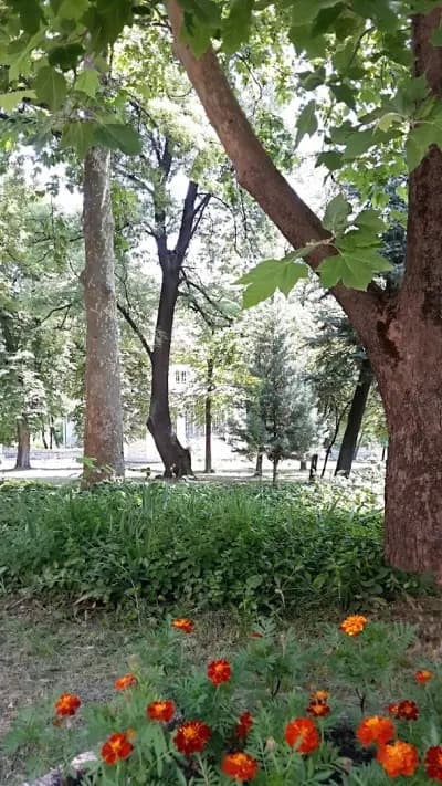 Селскостопанска академия