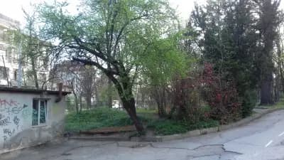 Факултет по математика и информатика