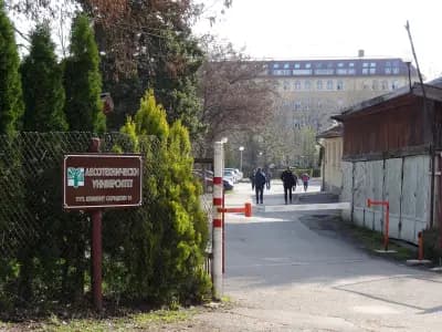 Лесотехнически университет
