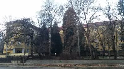 Лесотехнически университет