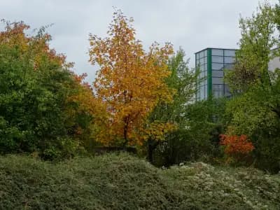 Лесотехнически университет