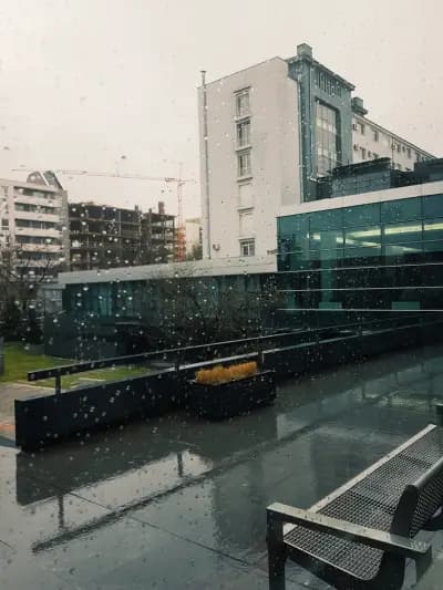 Нов български университет