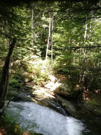 Каменни реки