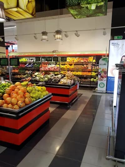 Фантаcтико Ф33