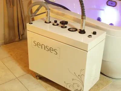 Сенсес
