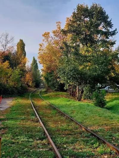 Висше транспортно училище