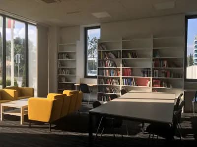 Международно Висше Бизнес Училище