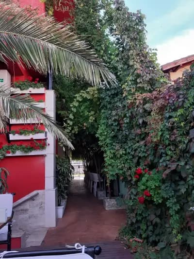 The School Овча Купел | Green Garden Restaurant| Ресторанти София