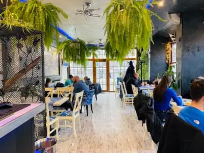 The School Овча Купел | Green Garden Restaurant| Ресторанти София