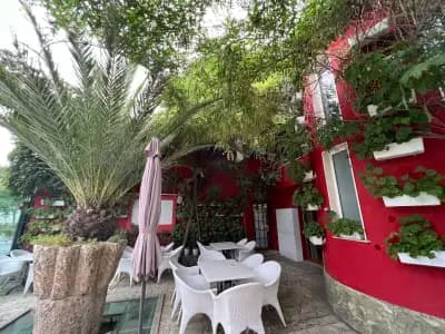The School Овча Купел | Green Garden Restaurant| Ресторанти София