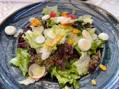 The School Овча Купел | Green Garden Restaurant| Ресторанти София