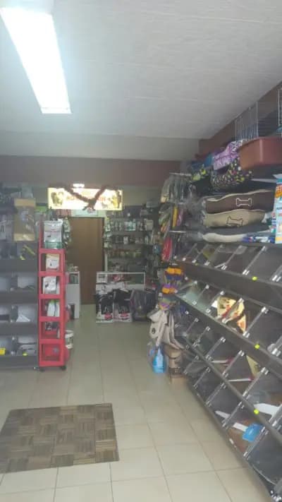 Зоомагазин Стемо