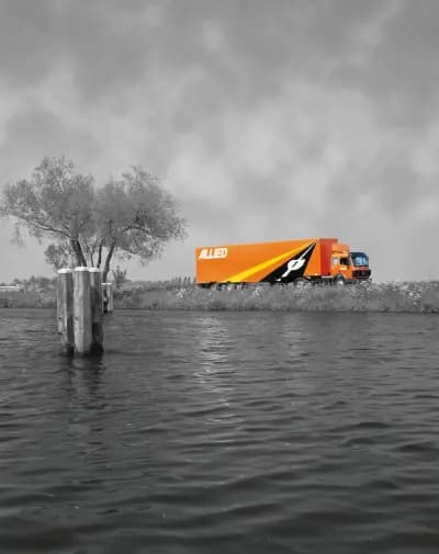 Allied - The Careful Movers