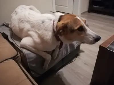 Moving.BG