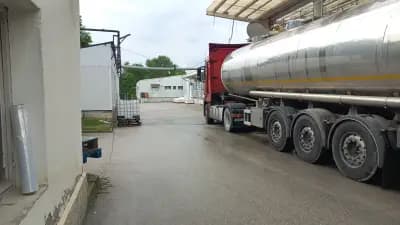 Dairy Food Bulgaria