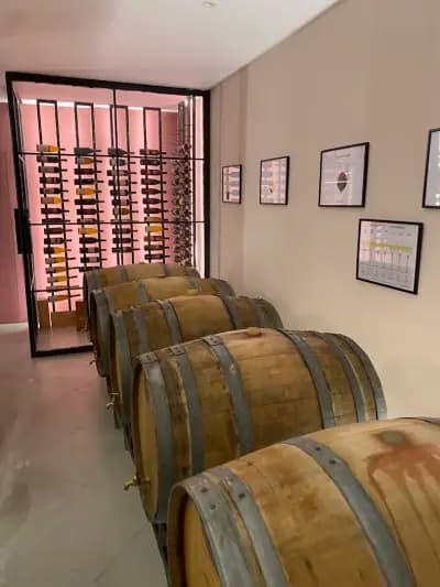COPSA WINE CLUB / Шато Копса Винен Клуб